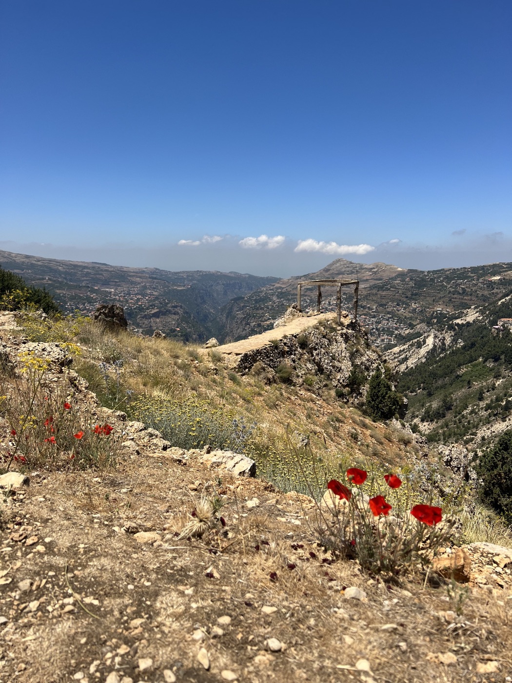 A dramatic Lebanese mountain canyon framed by red poppies
